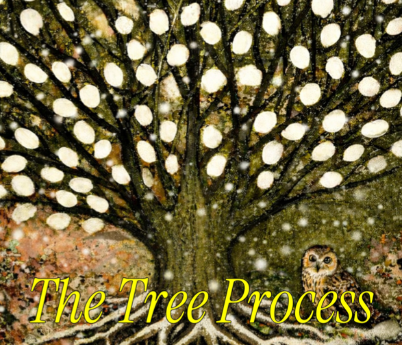 Tree of Life Process